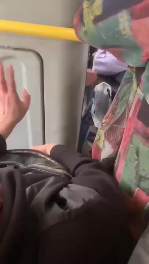 Полиция проводит проверку после инцидента с водителем автобуса в Красногорске