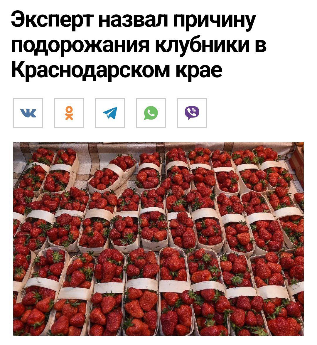 Дорогую клубнику в России объяснили нехваткой мигрантов Член экологического Совета Краснодарского края Голубитченко связал высокие цены на клубнику с сокращением притока трудовых мигрантов. По его словам, нехватка рабочих рук осложняет сельскохозяйственный труд и приводит к удорожанию продукции. Кремлёвская Стабильность