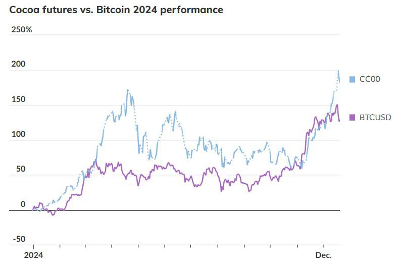 В 2024 году инвестиции в какао оказались более прибыльными, чем вложения в биткоин.