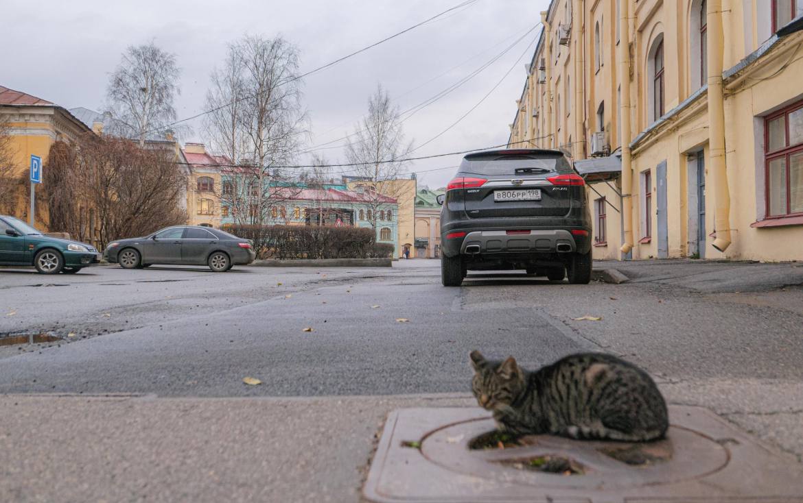 В Авито объявили о запуске системы верификации фондов и зооволонтёров Это нововведение повысит эффективность пристройства бездомных животных в новые семьи и позволит верифицированным пользователям получить ряд преимуществ Как объяснили в пресс службе платформы пройти бесплатную верификацию могут некоммерческие организации НКО и фонды частные приюты зооволонтёры и ветеринарные клиники Для этого необходимо заполнить специальную анкету указать свои данные приложить необходимые документы а также фото и видеоматериалы из приюта и ссылки на официальные онлайн каналы Проверку загруженной информации и условий содержания будут проводить в самом Авито к этой работе также подключат фонды партнёры Ника Верность и Собаки которые любят Валентин Беликов ДП Подписаться на ДП в Telegram MAX