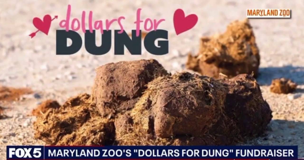 Назови кучу навоза в честь бывшего американский зоопарк предлагает необычную месть за 5 долларов Зоопарк в штате Мэриленд предложил желающим нестандартный способ эмоциональной разрядки В преддверии Дня святого Валентина здесь стартовала акция позволяющая за пожертвование в 5 долларов назвать кучу навоза именем бывшего партнёра Акция под названием Dollars for Dung Доллары за навоз устроена просто вы делаете взнос указываете имя и зоопарк официально закрепляет его за одной из многочисленных куч В качестве доказательства акта возмездия донор получает именной сертификат в формате PDF который можно сохранить похвастаться в соцсетях или даже переслать виновнику торжества Как рассказала операционный директор зоопарка Шеннон Браун идея родилась спонтанно за обедом но неожиданно переросла в полноценный и популярный сбор средств Все вырученные деньги направляются на природоохранные программы как в самом Мэриленде так и в других странах мира Это уже вторая подобная акция В прошлом году она имела неожиданный международный успех пожертвования поступили из более чем 30 стран а общая сумма сборов достигла почти 10 тысяч долларов В зоопарке отмечают что такой вариант особенно привлекает тех кто устал от традиционных валентинок и хочет отметить праздник с изрядной долей саркастического юмора