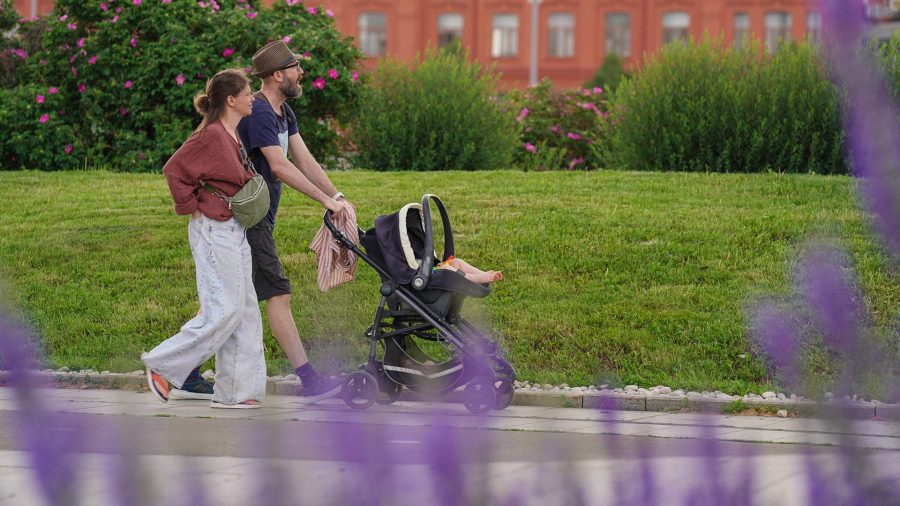 Семьи с одним ребенком стали в 23 раза чаще тратить маткапитал В январе-марте семьи с одним ребенком подали 95 тыс. заявлений на распоряжение маткапиталом. По сравнению с прошлым годом число таких обращений выросло в 23 раза, говорится в докладе Счетной палаты СП о бюджете Соцфонда «Известия» его изучили .