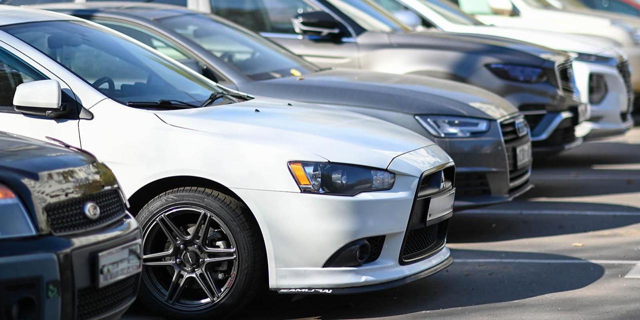 С приближением первых холодов бездомные животные начинают искать теплые убежища Для этого они иногда залезают под капоты автомобилей Запуск двигателя в такой ситуации может привести к критическим травмам у животного Рассказываем о простых правилах как избежать опасных случаев