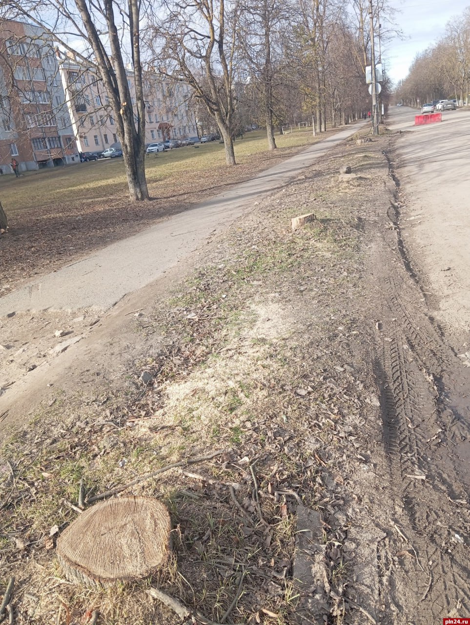 Больные деревья спилили на улице Максима Горького в Пскове  Спилили аллею деревьев, превратив уютное место в ужасный пустырь с пеньками,  пишут местные жители.  Городские чиновники на это ответили: Деревья деревья вдоль домов №19 и №19а по улице Максима Горького осмотрела комиссия по обследованию зелёных насаждений. Выяснилось, что многие деревья находились в аварийном состоянии: отсутствовали кроны, стволы были повреждены болезнями, а значительная часть веток засохла. Кроме того, некоторые деревья угрожали безопасности, поскольку имели наклон в сторону дороги. На основании полученных данных было принято решение о необходимости сноса опасных и больных деревьев.  Что ж, больные и опасные деревья нужно удалять из городского ландшафта, тут двух мнений быть не может. Проблема в другом — по-хорошему надо заменить больные деревья здоровыми. Но бюджет города не резиновый, планы по озеленению формировались в конце прошлого года. Получится ли найти дополнительные средства — вопрос открытый. Надеяться нужно, обольщаться не стоит.