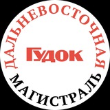 Аватар Телеграм канала: Газета «Дальневосточная магистраль»