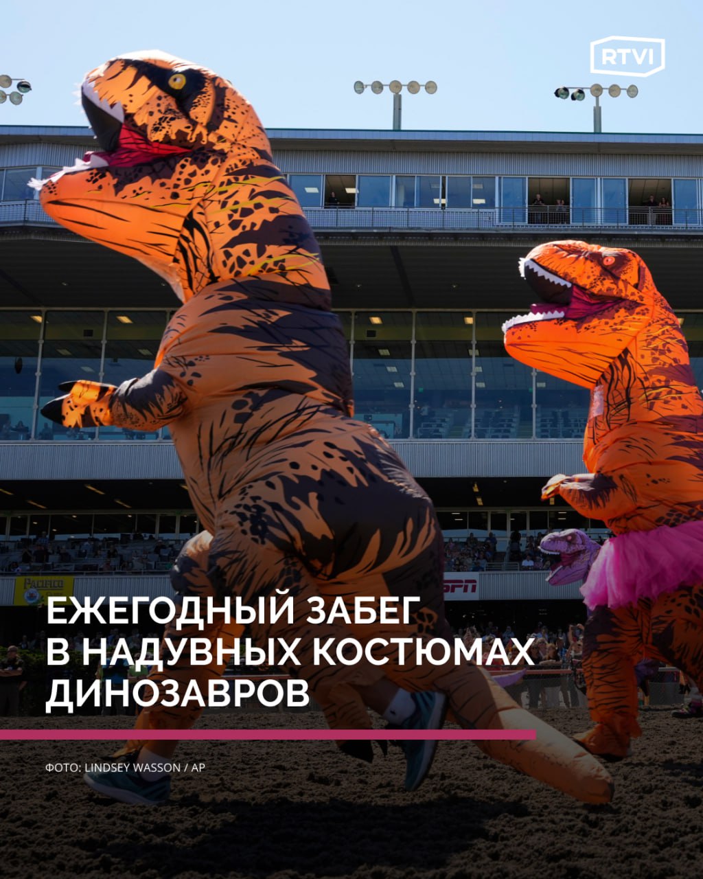 Ежегодный забег в надувных костюмах динозавров. Главные снимки  В США прошел один из самых необычных забегов в мире: 29 июня участники в надувных костюмах тираннозавров устроили веселое состязание на ипподроме Emerald Downs в пригороде Сиэтла.  Мероприятие, впервые проведенное в 2017 году как корпоративная забава компании по борьбе с вредителями, быстро стало ежегодной традицией. В гонке участвуют сотни людей всех возрастов, а зрители с энтузиазмом поддерживают бегунов