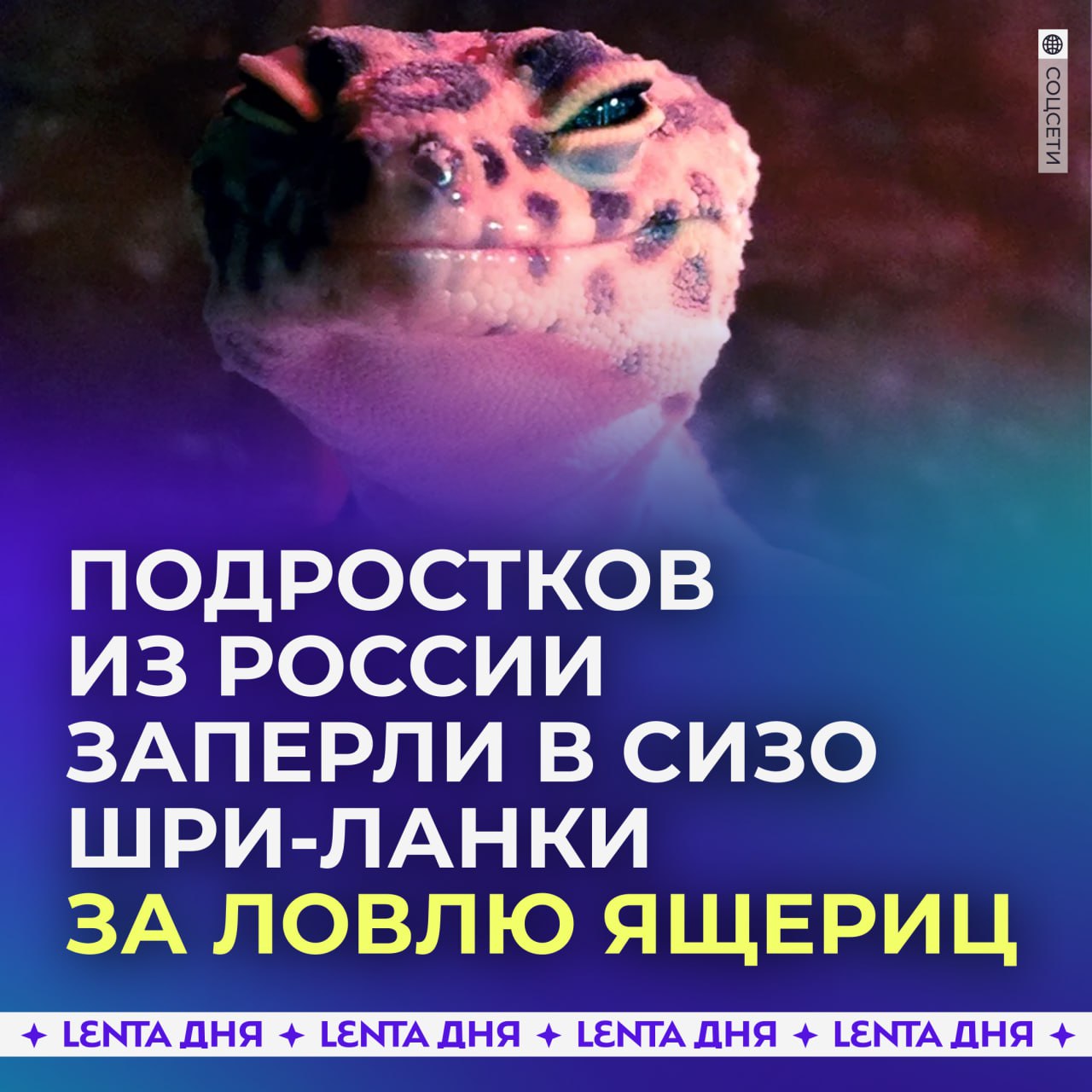 Двое подростков из России задержали на Шри-Ланке — они незаконно ловили ящериц.  При этом негодуют российские адвокаты: при задержании ребят допрашивали без присутствия опекуна, без переводчика и адвоката. Более того, их отправили в СИЗО без судебного решения, а арест длится уже 5 дней.  Также один из подростков по какой-то причине находился во взрослом изоляторе.   Согласны, что меры несправедливы?    — конечно, отпустите ребят   — а вот не надо было ящерок мучать