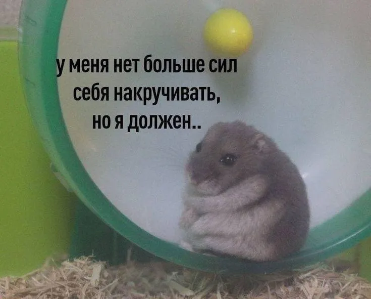 Полмиллиарда рублей украли мошенники у жителей области с начала года Только за апрель люди перевели аферистам 130 млн рублей Обманывают всех людей от 17 до 98 лет Чаще всего доверяют преступникам женщины 59 случаев и именно они теряют самые крупные суммы Чаще всего пользуются схемами с инвестициями продают несуществующие товары и звонят от имени сотрудников Госуслуг и ФСБ По данным областного МВД Читайте IrCity в MAX