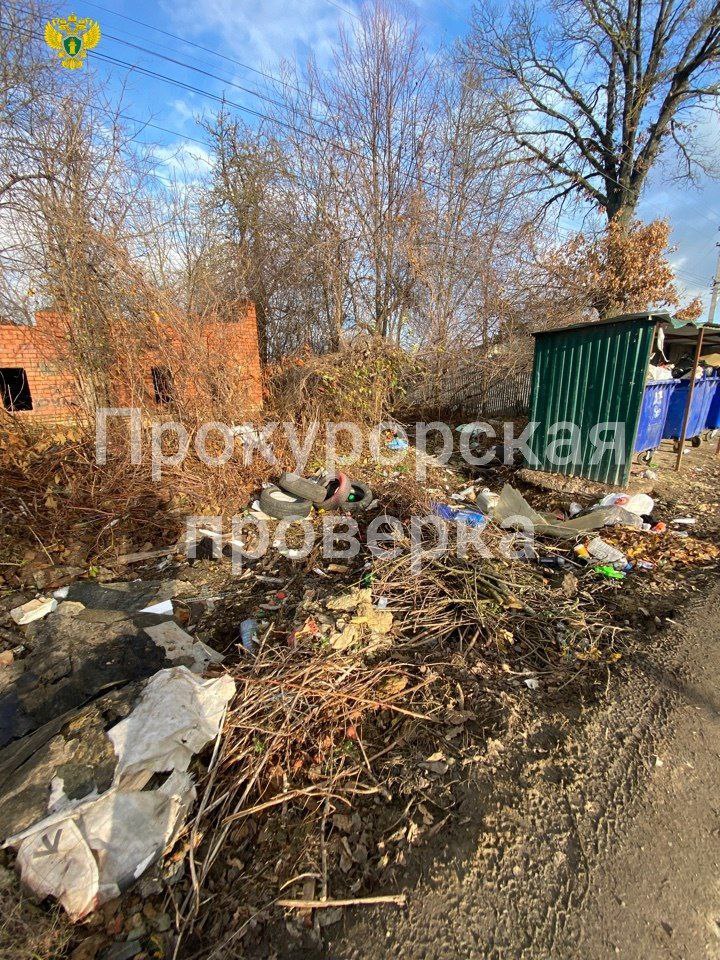 1  2  3  4  5  6  Прокуратура города Щекино в связи с публикацией в СМИ под заголовком «Там уже даже мимо страшно ходить: щекинцев возмутили мусорные кучи в городе» организовала проверку исполнения законодательства об охране окружающей среды, отходах производства и потребления.   Установлено, что в непосредственной близости от контейнерной площадки, расположенной у дома № 26 по ул. Железнодорожной г. Щекино, размещена несанкционированная свалка твердых коммунальных отходов.   При этом вопреки требованиям закона администрация муниципального образования Щекинский район ненадлежащим образом исполняла обязанности по организации сбора и вывоза бытовых отходов и мусора.  В целях устранения нарушений прокурор города внес главе администрации представление, исполнение требований которого находится на контроле в прокуратуре города.   Также в отношении ответственного должностного лица возбуждено дело об административном правонарушении, предусмотренном ч. 1 ст. 6.3 КоАП РФ  нарушение законодательства в области санитарно-эпидемиологического благополучия населения .  ПРОКУРАТУРА ТУЛЬСКОЙ ОБЛАСТИ