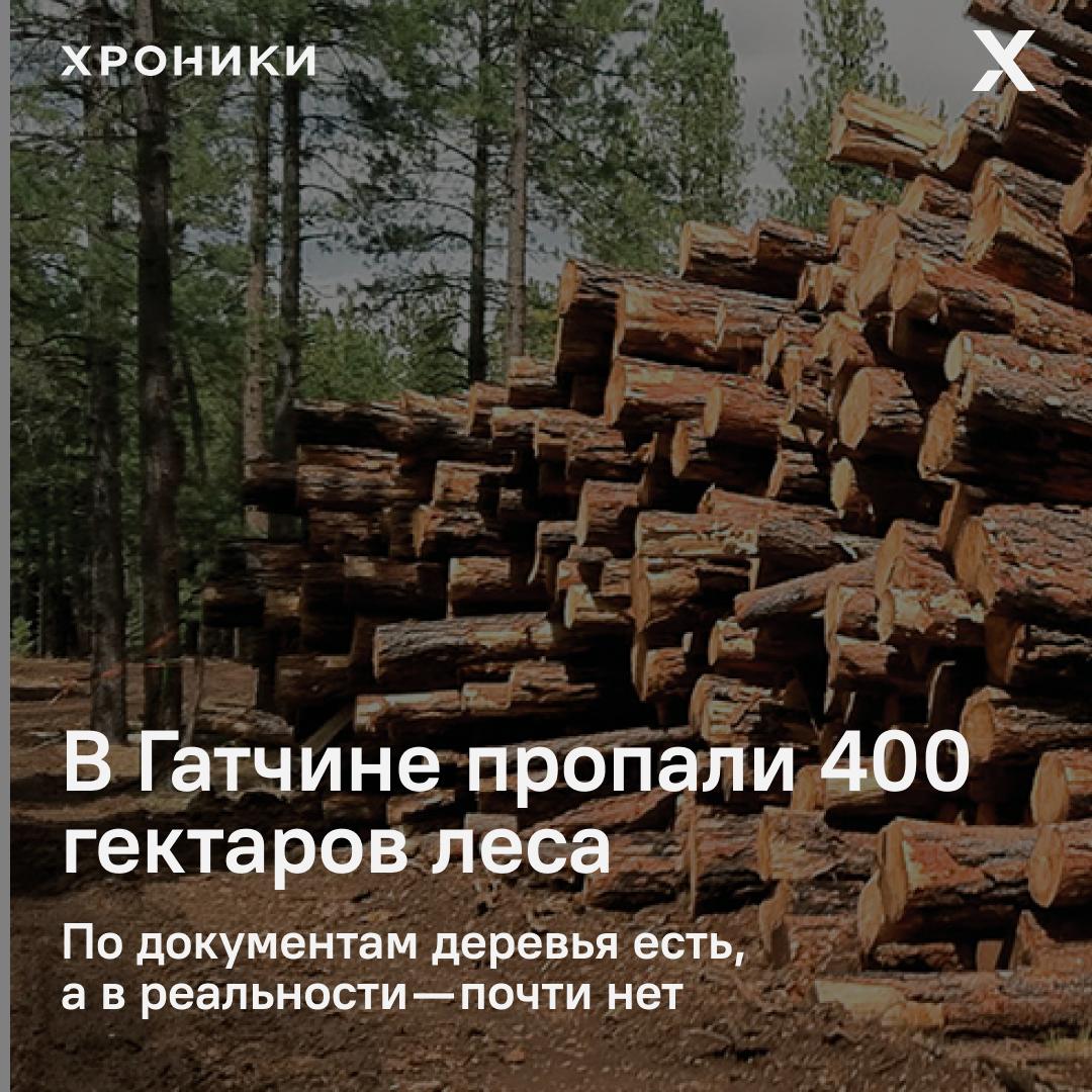 Гатчинский суд обязал местную администрацию провести лесоустройство, после того как прокуратура обнаружила странную пропажу: из 417 гектаров городских лесов по документам осталось только 17.  По данным 47News, даже администрация не понимает, куда делись деревья: у них в реестре значится уже 418 гектаров, но где они — никто не знает.  Итог: 400 гектаров леса — или исчезли, или числятся «мертвым душами» на бумаге. Теперь чиновники должны разобраться, что реально растёт, а что давно вырублено или продано.        Поддержать нашу работу