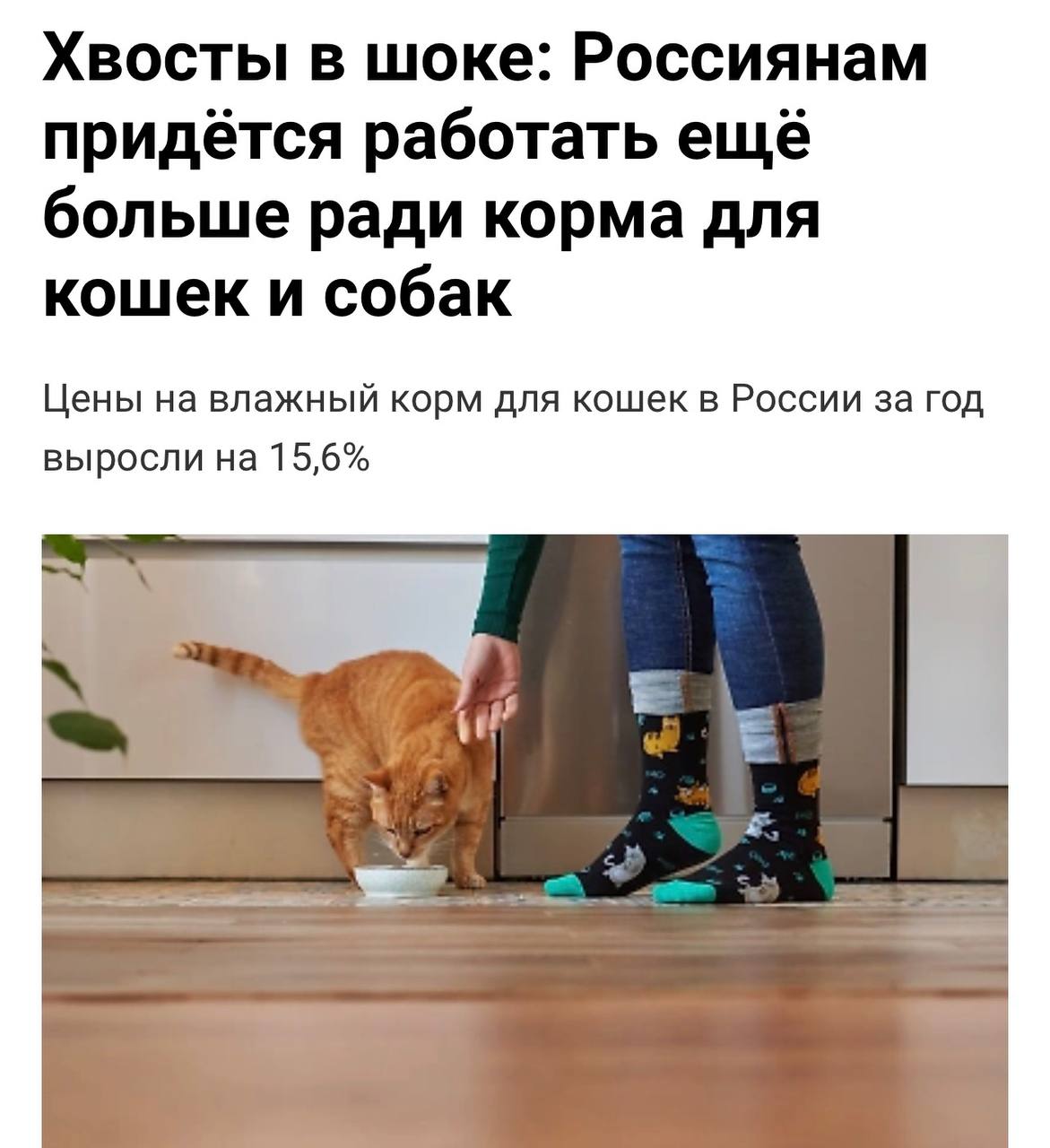 Работать ещё больше ради корма для кошек и собак придётся россиянам цены на влажный корм взлетели на 15 6 за год до 32 4 за 85 грамм На сухой для собак средняя стоимость составляет 252 3 за 600 грамм Для птиц и грызунов он также подорожал на 9 8 и 17 соответственно investingcorp