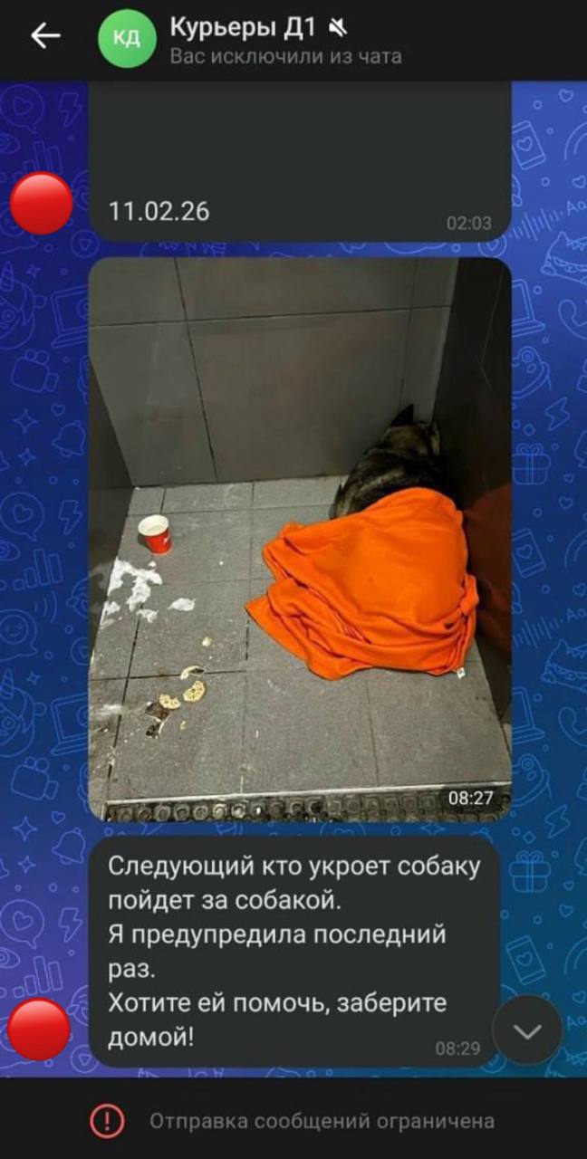 Челябинцы массово вступились за курьера которого уволили из пиццерии за заботу о дворняжке Бездомный пес прибился к ресторану полтора года назад В мороз люди выходили и укрывали собаку одеялом чтобы ей было не так зябко Но все изменилось на днях когда в заведении сменилось руководство Оно невзлюбило дворнягу Новая начальница велела подчиненным больше не укрывать пса Однако в морозный день один из курьеров увидел дворняжку скорчившуюся у стены и присыпанную снегом не смог пройти мимо и все же укутал собаку пледом После этого его уволили якобы за порчу имущества и частые опоздания Теперь уже бывший сотрудник пиццерии Михаил рассказал КП что успел проработать в пиццерии год а нарушений никаких не допускал Все это время его коллеги пытались найти собаке новый дом Но приюты оказались переполнены брать новую питомицу никто не хотел Тем временем пес продолжает мёрзнуть у той самой челябинской пиццерии а в сети пользователи встали на защиту Михаила Подписаться на truekpru Читать нас в MAX