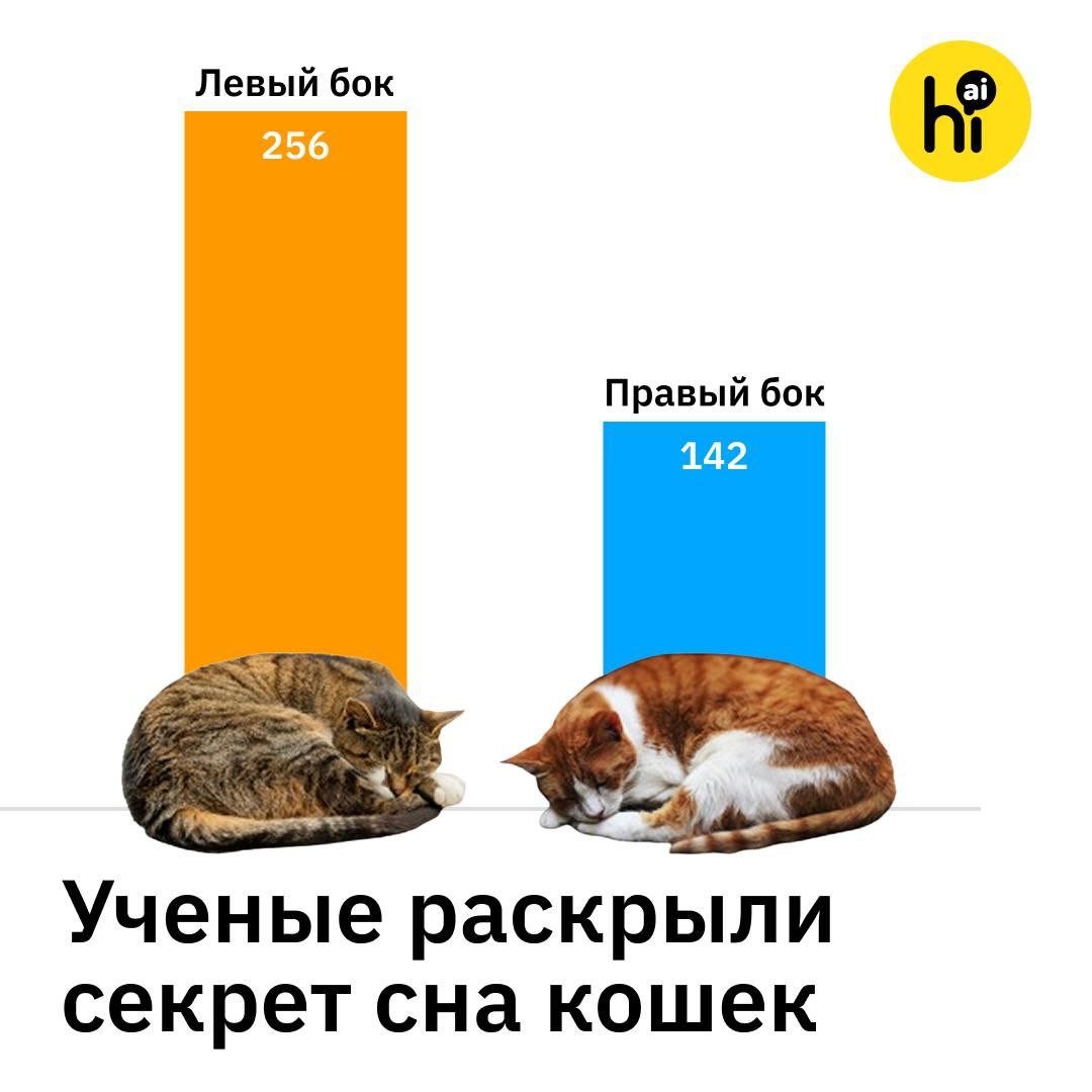 Две трети кошек спят на левом боку. Почему? Нейропсихологи провели необычное исследование: проверили, есть ли у кошек любимая поза для сна. Оказалось — есть: 65,1% домашних питомцев дремлют на левом боку. Ученые проанализировали 408 видео со спящими кошками с YouTube. Для анализа отбирали только те ролики, где животное четко видно и оно лежит на боку не менее 10 секунд. Почему на левом, а не на правом? Исследователи считают это защитным механизмом. Если кошка внезапно проснется, левый глаз в такой позе видит больше правого: тело не закрывает обзор. А информация из левого поля зрения поступает в правое полушарие, которое отвечает за быструю реакцию и обработку угроз. Так кошка быстрее заметит крадущегося хищника или вкусного голубя. Авторы признают и ограниченность выборки — исследование не учитывало пол кошек, возраст и другие факторы, влияющие на позу сна. Например, беременные коровы чаще ложатся на левый бок. Но чтобы это повлияло на результат, нужно, чтобы на YouTube значительно чаще публиковали видео беременных кошек. В любом случае ученые собираются продолжать исследования. А на каком боку спит ваша кошка? — На левом — На правом — И на правом, и на левом! , AI! #новости #наука