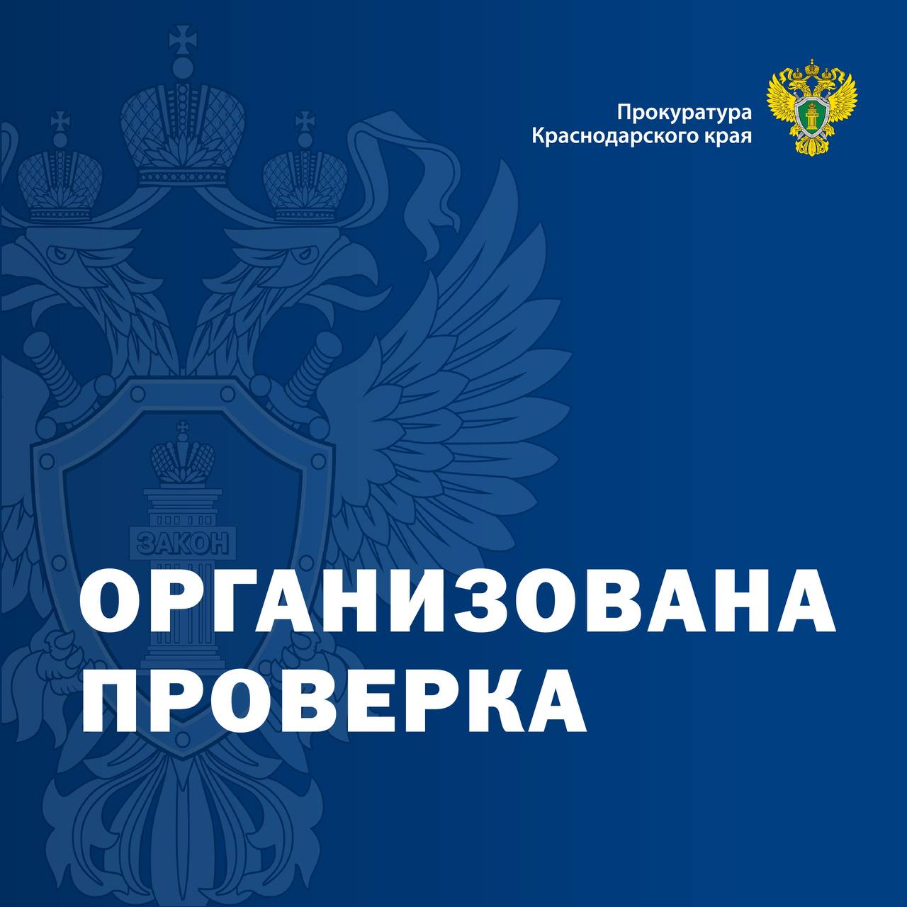 Прокуратурой Брюховецкого района организована проверка по размещенному в сети Интернет видеоролику о нарушении норм санитарно-эпидемиологического, а также трудового законодательства в ООО «Брюховецкий хлебзавод»  По указанным фактам прокуратурой района инициировано проведение проверочных мероприятий, по результатам которых будет дана оценка соблюдению трудовых прав работников общества, качества изготавливаемой продукции, своевременности проведения санитарных мероприятий.  При наличии оснований будут приняты меры прокурорского реагирования.