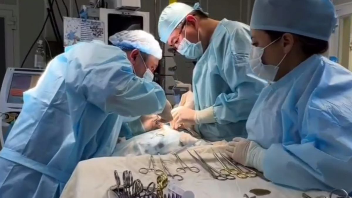 В Алматы новорождённому удалили редкую опухоль из мозговой ткани В Центре детской неотложной медицинской помощи Алматы ЦДНМП врачи успешно провели редчайшую операцию новорождённому ребёнку с гетеротопией мозговой ткани в области лица и шеи. Подобные случаи в мировой практике чрезвычайно редки — описано менее 30. Малыш поступил в реанимацию в крайне тяжёлом состоянии. «Состояние ребёнка при поступлении было критическим — признаки дыхательной, сердечно-сосудистой и гемодинамической недостаточности. Он буквально боролся за жизнь», — рассказал заведующий отделением реанимации новорождённых Улыкпан Алсеитов. Подробнее Фото: Скриншот с видео перинатально центра Шымкента /CentralMediaNews