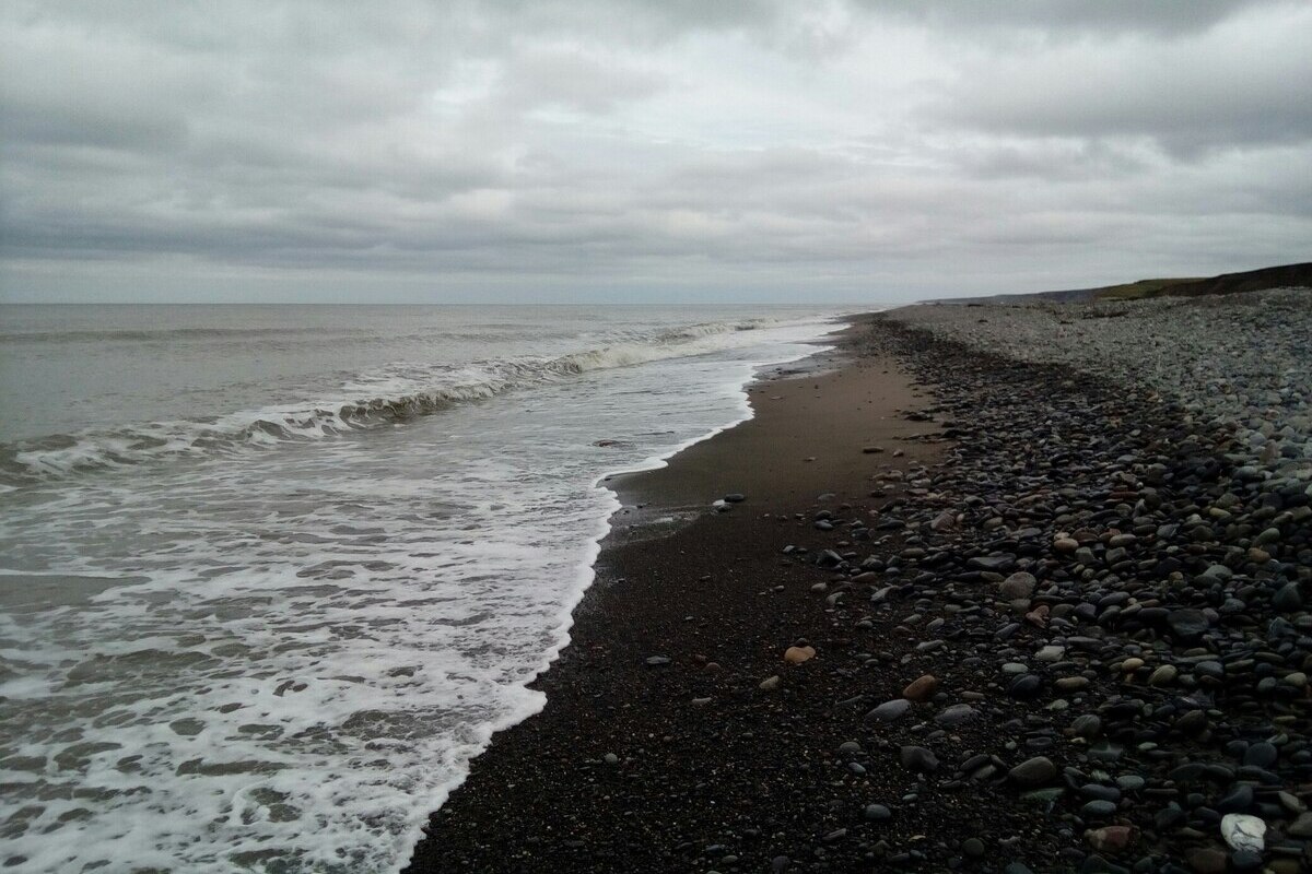 В НАО планируют отменить запрет на охоту в в 15 километровой прибрежной зоне Губернатор Ненецкого автономного округа Ирина Гехт подвела промежуточный итог в решении давнего вопроса Речь идет об отмене запрета на охоту в 15 километровой прибрежной зоне на территориях Севера
