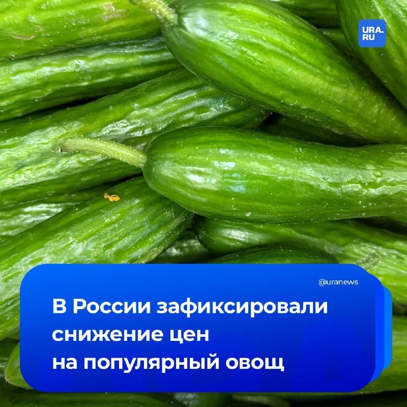 Россиян ожидает снижение цен на огурцы В апреле текущего года огурцы стали самым заметно подешевевшим товаром среди продуктов питания потеряв в стоимости целых 15 Это данные предоставленные Руспродсоюзом При этом отмечается что цена на огурцы упала не только по сравнению с предыдущим месяцем но и в годовом исчислении В частности по отношению к апрелю прошлого года стоимость снизилась на 4 5 составив 193 7 рублей за килограмм Кроме того позитивные изменения произошли и в ценовой политике на помидоры и бананы Эти продукты также демонстрируют тенденцию к снижению стоимости потеряв в цене 3 2 до 303 7 руб кг и 2 4 до 161 руб кг соответственно