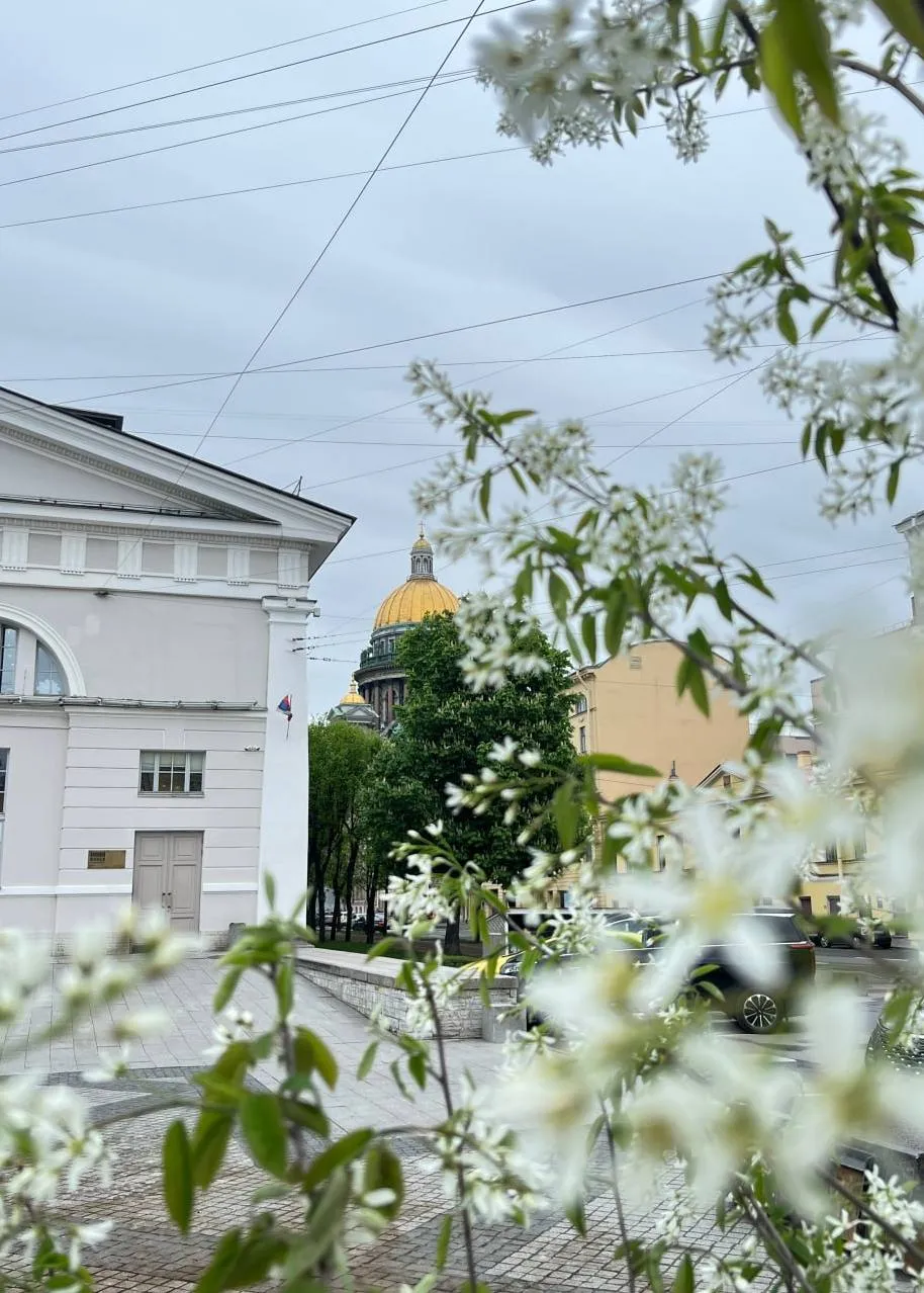 Цветущий сад у Манежа На площади у западного фасада МВК Манеж состоится открытие художественной инсталляции Цветущий сад Пространство преобразится в сад с более чем 60 живыми растениями яблонями вишнями сиренью и сливами Инсталляция объединит художественные панели зеркальные стелы и композиции из растений создавая живое пространство для свободного посещения Это будет место созерцания и отдыха в котором вы встретитесь с историческими и художественными ассоциациями родной земли Вход свободный 18 мая 12 00 Исаакиевская площадь д 1 локация Вокруг Питера Я в ТГ Я в MAX Я в VK