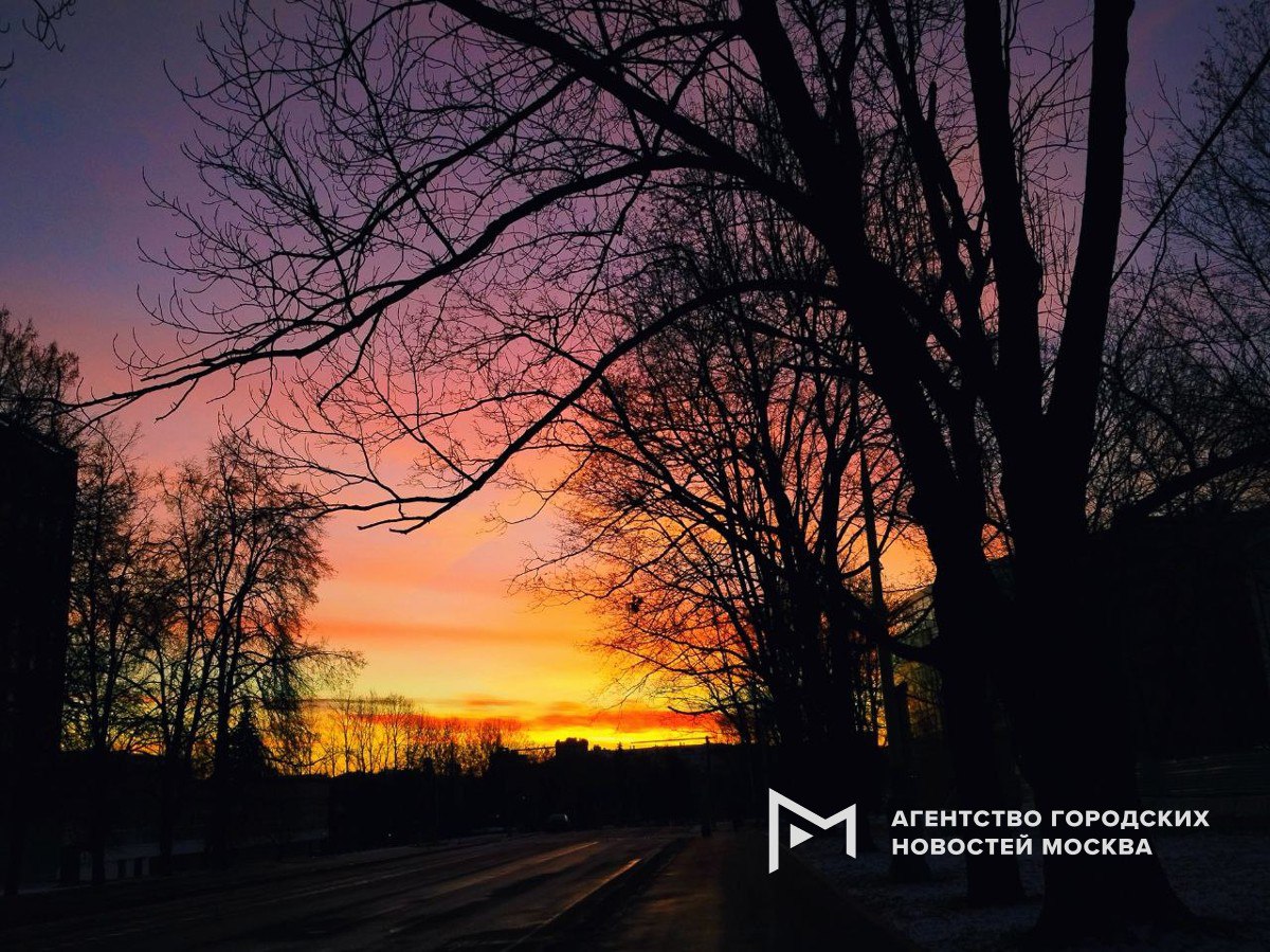 Сегодня утром москвичи могли наблюдать алую зарю явление было вызвано сочетанием нескольких факторов низким положением Солнца над горизонтом высокой прозрачностью морозного воздуха и наличием на большой высоте перисто слоистых облаков Белый солнечный свет состоит из волн разной длины Коротковолновое сине голубое излучение сильно рассеивается на молекулах воздуха эффект Рэлея Утром солнечные лучи проходят через более толстый слой атмосферы и его коротковолновая синяя составляющая успевает рассеяться Таким образом до наблюдателя доходят в основном красные и оранжевые лучи объяснили Агентству Москва в МФТИ Подпишись на Агентство Москва Мы в МАХ