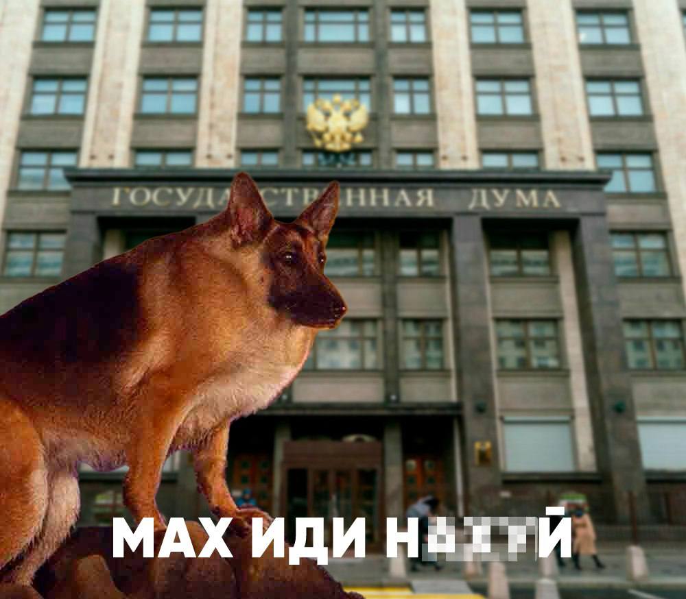 Нацмессенджер Max предлагают переименовать в «Добрыню Никитича», «Гагарина» или «Чапаева». В Госдуме считают, что национальный сервис должен иметь патриотичное название, а в нынешнем англицизме «нет никакой логики».
