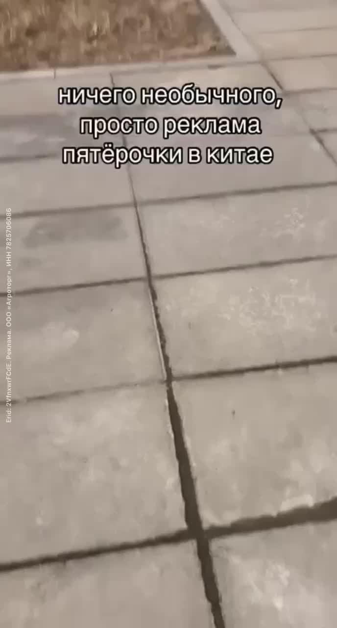 «Пятёрочка» открывает магазины в Амурской области, создавая новые рабочие места