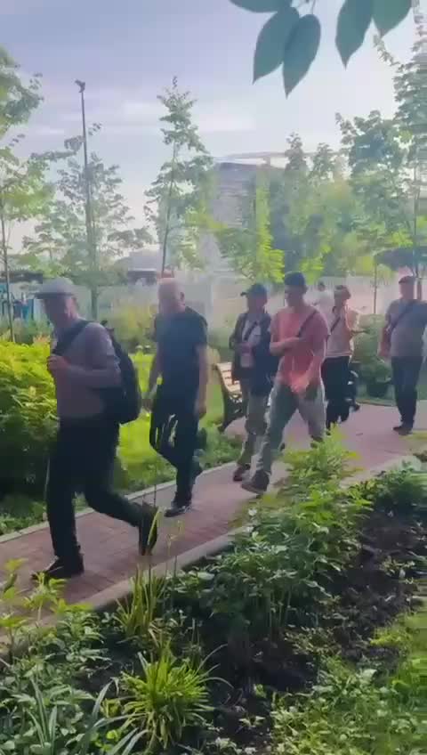 Солнечные вспышки и международные встречи: мнения экспертов