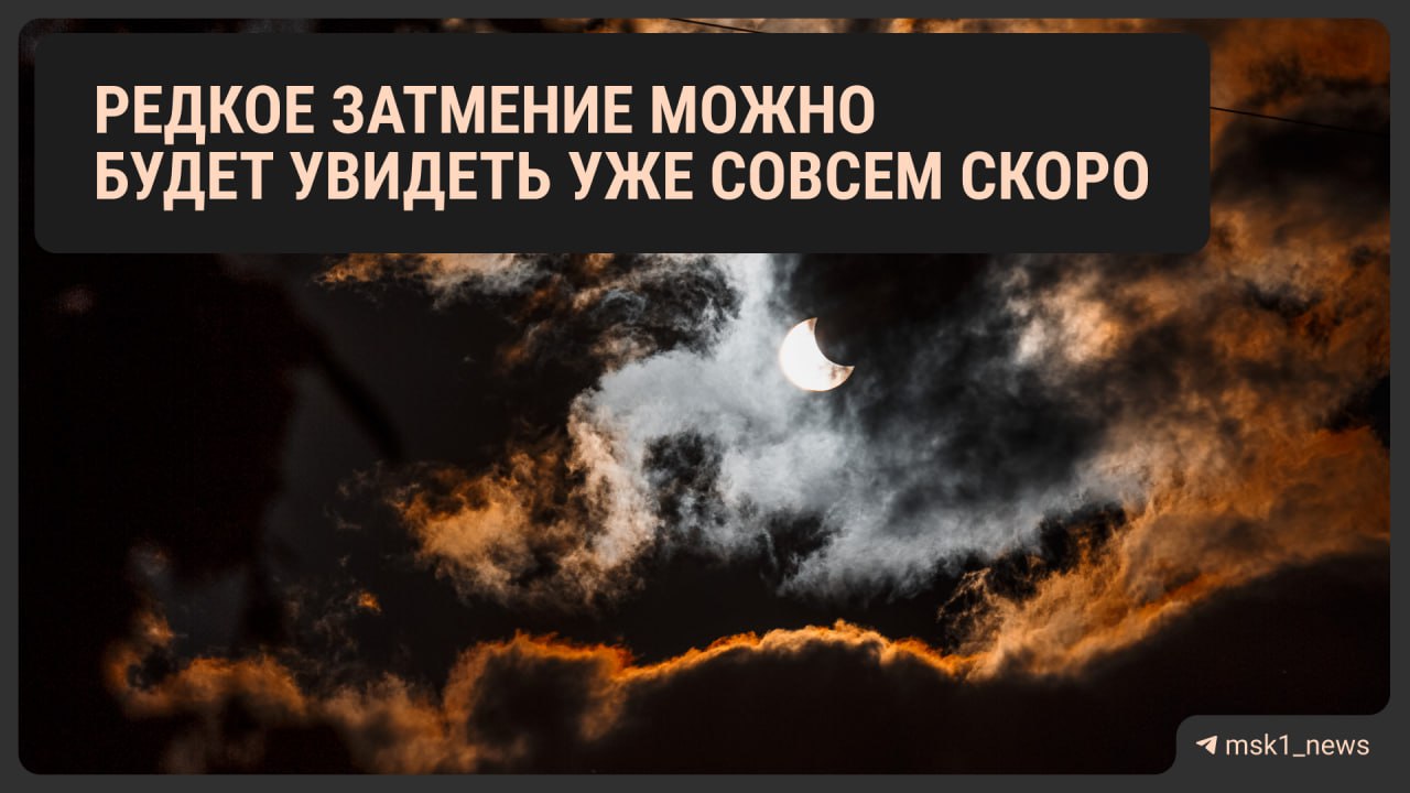 Редкое астрономическое явление затмение Венеры Луной можно будет увидеть в Москве в пятницу 19 сентября Планета скроется за спутником Земли в 15 18 и снова появится на небе в 16 13 Также на предрассветном небе Луна и Венера встретятся с Регулом самой яркой звездой в созвездии Льва Земной спутник будет освещён всего на 5 его тёмная сторона будет светиться приглушённым сероватым светом Для лучшей видимости астрономы советуем воспользоваться биноклем или телескопом  Дарим билеты на концерт Jason Derulo
