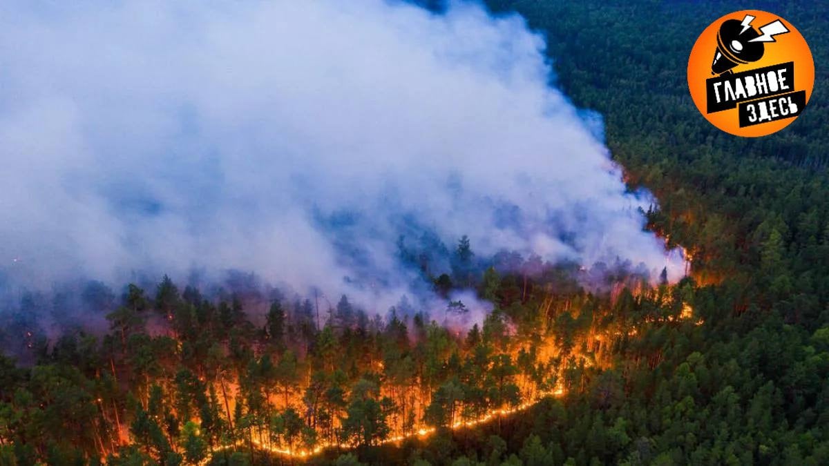 Весенние лесные пожары в этом году могут начаться раньше  Это связано с аномально тёплой зимой в столичном регионе.   В Россельхозе напомнили, что основная причина природных пожаров весной — несоблюдение правил безопасности, в частности пал сухой травы. Чаще всего этим пренебрегают дачники.  Главное — здесь. Подписывайтесь!