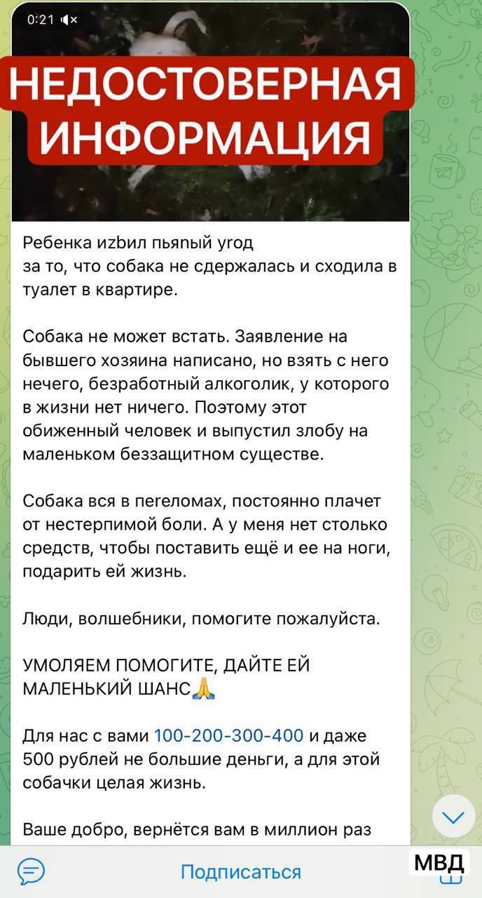 Видео с «побитой собакой» в Ангарске оказалось старым. Полиция начала проверку. В одном из пабликов появилось тревожное видео якобы из Ангарска — на кадрах собака в плохом состоянии и здание на заднем плане. Автор ролика призвал подписчиков скинуться на помощь животному. Полиция проверила, откуда видео, и выяснила: инцидента на территории Иркутской области не было, а само видео гуляет по сети уже больше года и ранее публиковалось в других регионах. Сейчас проводится проверка — выясняют, кто стоит за публикацией. Подписаться Прислать новость