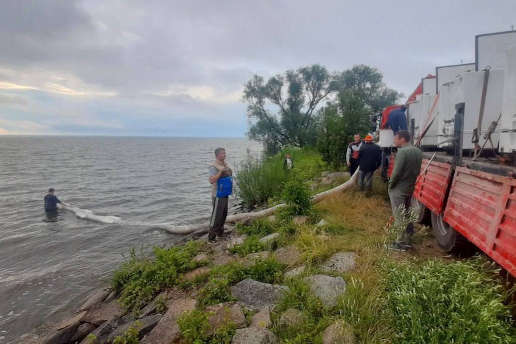 В Куршском заливе стало на полмиллиона мальков больше. Ежегодно в Куршский залив выпускают несколько тысяч мальков сига. Эти работы — часть компенсационных мероприятий по восстановлению водных биоресурсов. Реализация программы зарыбления продлится 12 лет. Подписаться Прислать новости