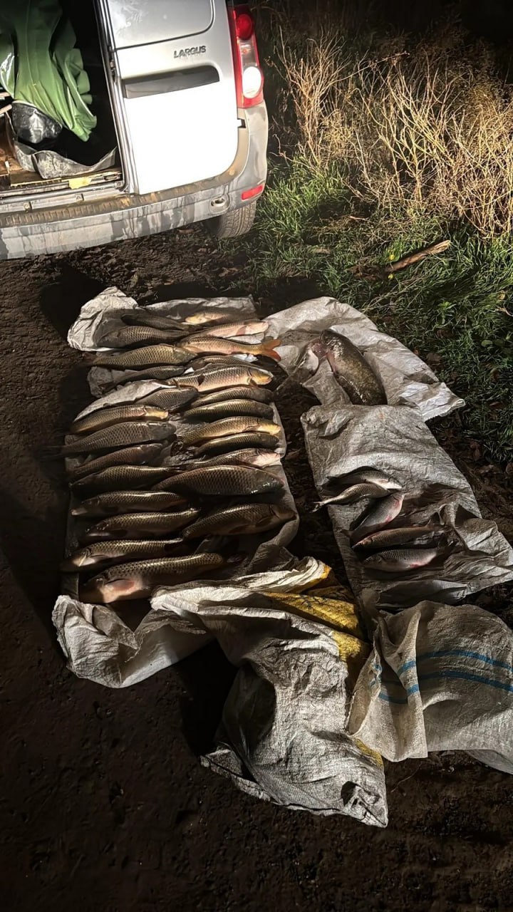 Двое рыбаков заработали уголовку за незаконную ловлю в Левокумском округе Ребят задержали участковые на берегу Кумо Манычского канала рыбакам 54 и 46 лет У мужчин не было разрешения на вылов зато при себе были все типы сетей С помощью них они ловили рыбу несколько часов В машине был мешок с уловом 32 штуки Подозреваемые в браконьерстве стали фигурантами уголовного дела пишет ГУ МВД по краю Что то на Ставропольском в MAX