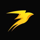 Аватар Телеграм канала: Storm Trade | Новости ⚡️