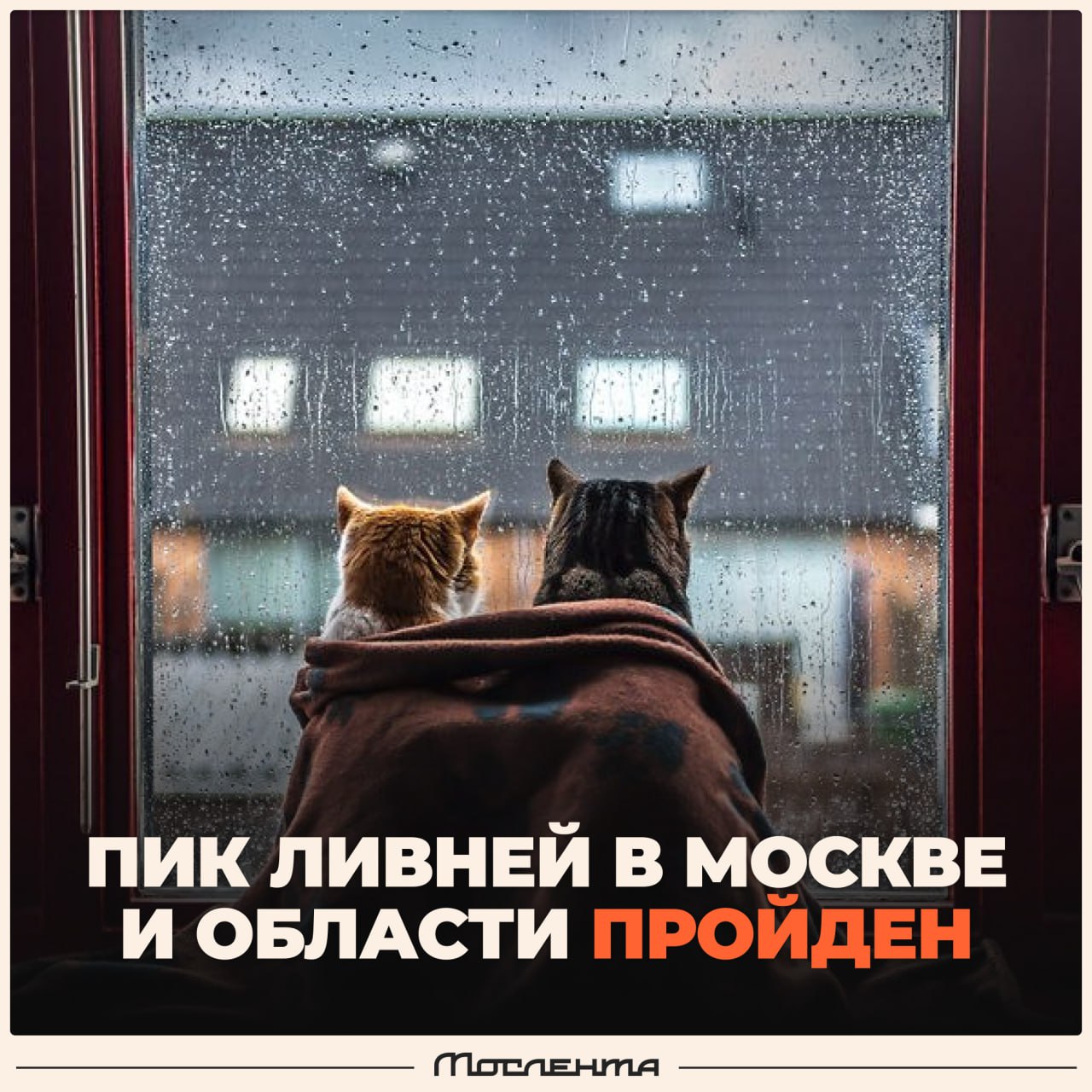 Пик ливней в Москве и Подмосковье официально пройден, сообщают синоптики. Интенсивность осадков начнёт снижаться уже с сегодняшнего дня. Однако циклон, подаривший нам столько «незабываемых» эмоций, сохранит облачную и пасмурную погоду как минимум до четверга. А вот к выходным в столицу вернётся жара — до +30 °C