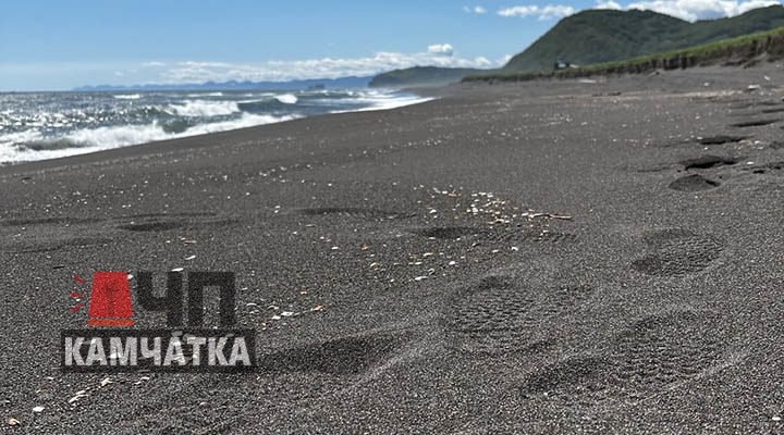 ЧП на Халактырском пляже: утонул мужчина По сообщениям подписчика «ЧП Камчатка», сегодня утром, 13 июля, на Халактырском пляже произошло трагическое происшествие. Трое мужчин, предположительно в состоянии алкогольного опьянения, решили искупаться в океане. Один из них почти сразу начал тонуть. Несмотря на попытки помощи, спасти его не удалось – тело вытащил серфер. Официальных данных пока не поступало