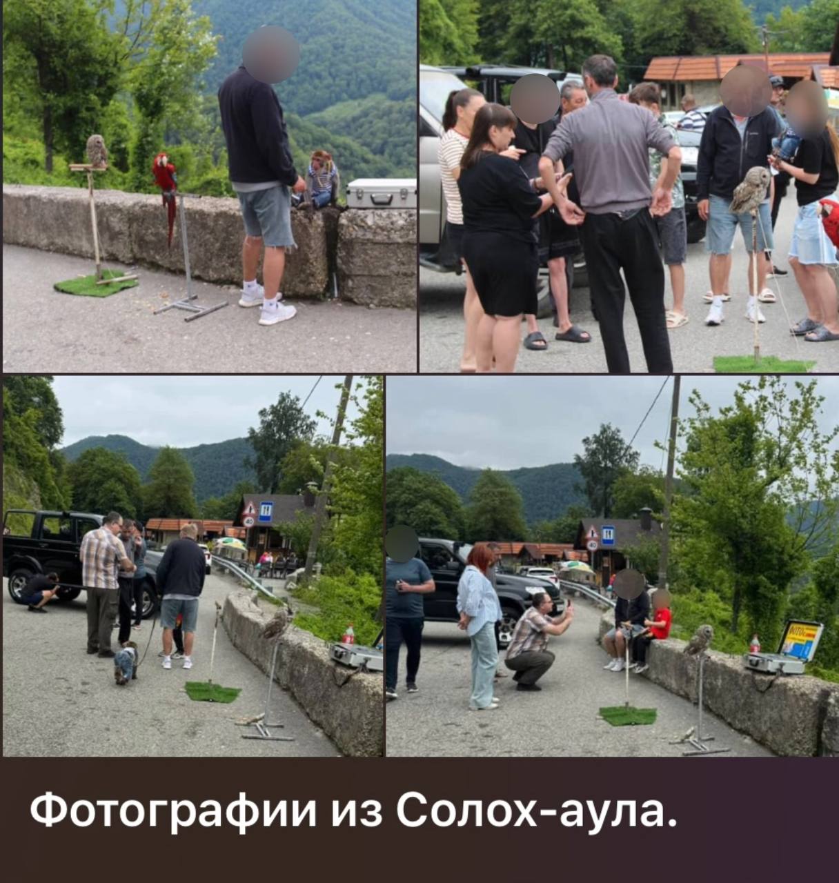 В ходе мониторинга сети Интернет сотрудниками полиции выявлена публикация, автор которой сообщает о гражданах, оказывающих в селе Солохаул фотоуслуги туристам с использованием экзотических животных. По данному факту материал зарегистрирован в полиции, назначена проверка, в рамках которой будет установлена достоверность указанной в публикации информации, а также наличие либо отсутствие признаков жестокого обращения с животными. Полиция Сочи