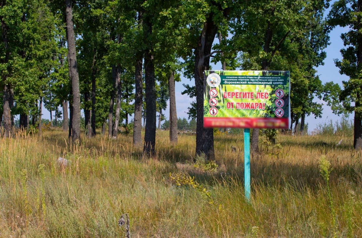 Воронежская область попала под чрезвычайный класс пожарной опасности Синоптики предупреждают: «С 3 июня 2025 года местами по Воронежской области ожидается опасное метеорологическое явление чрезвычайная пожарная опасность 5 класса». ↗ Прислать новость Подписаться