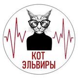 Аватар Телеграм канала: Кот Эльвиры