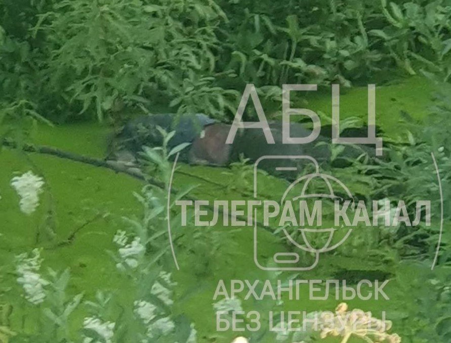 В Архангельске в районе Нефтебазы обнаружен гниющий труп  Сегодня в городских тг-каналах появилась информация о том, что в районе Нефтебазы обнаружено тело мужчины с ножевыми ранениями. В частности, сообщалось, что у гражданина перерезано горло.  В региональном СУ СК подтвердили, что тело действительно найдено, однако о наличии каких-либо признаков насильственной смерти говорить пока что преждевременно. Визуально признаки не обнаружены.  На теле мужчины имеются гнилостные изменения — это может говорить о том, что человек пролежал в канаве длительное время.  Причина смерти будет известна только после результатов судебно-медицинской экспертизы.