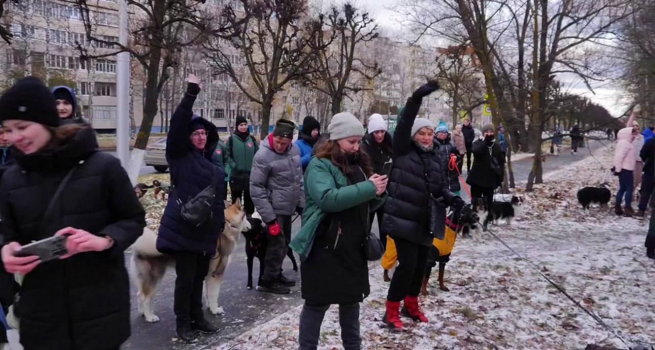 В Чебоксарах заработала третья площадка для выгула собак рядом с парком Роща Гузовского. Здесь установлено ограждение и тренажеры для дрессировки питомцев.  Горожане могут предложить новые локации для таких площадок, отправив заявку на специальном сайте.