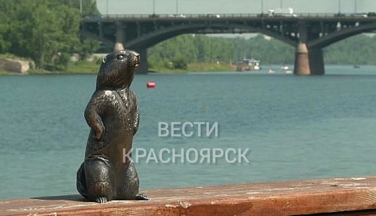 Второго бронзового суслика установили на Ярыгинской набережной в Красноярске. На этот раз фигурка выполнена в образе борца. Подробности расскажем сегодня в 21.10 в программе «Вести. Красноярск»