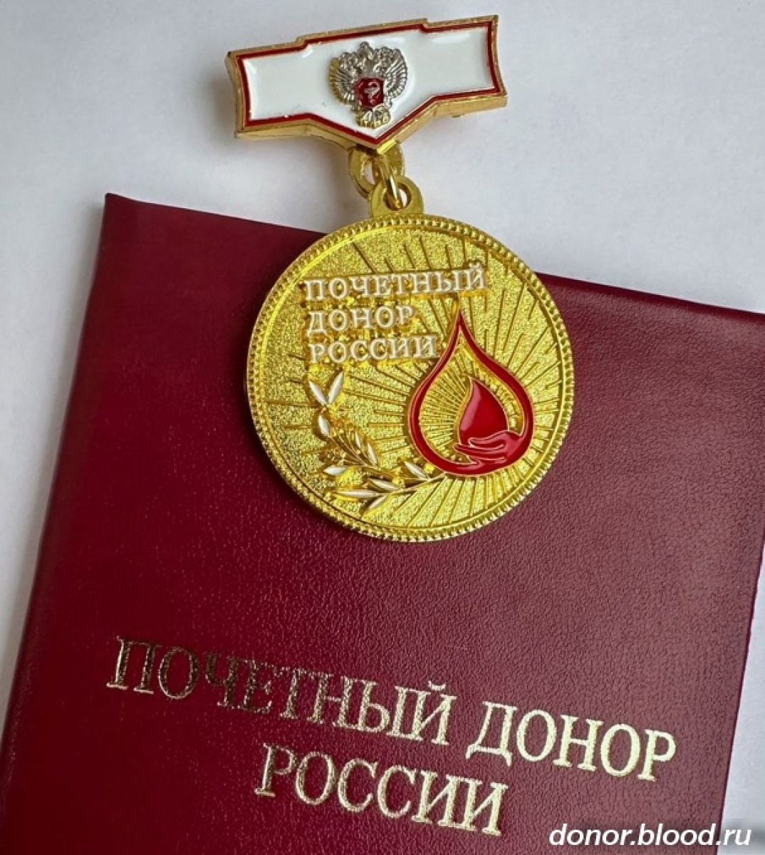 Почетный донор из Пестяковского района получит положенную выплату через суд Суд встал на сторону истца и постановил удовлетворить его требования о предоставлении ежегодной денежной выплаты за 2024 год. ↗ Прислать новость Подписаться