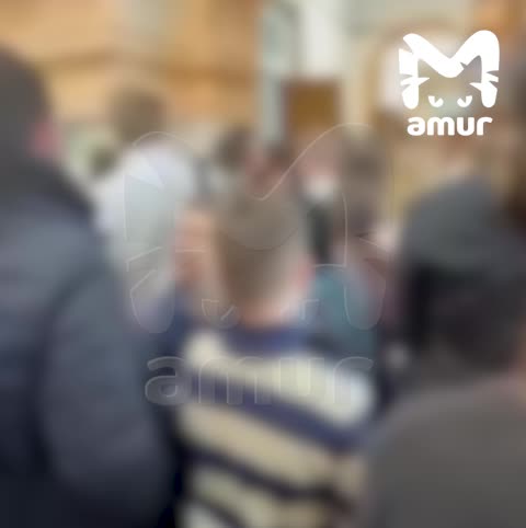 Нападения бродячих собак на людей: проблемы и меры в Дагестане