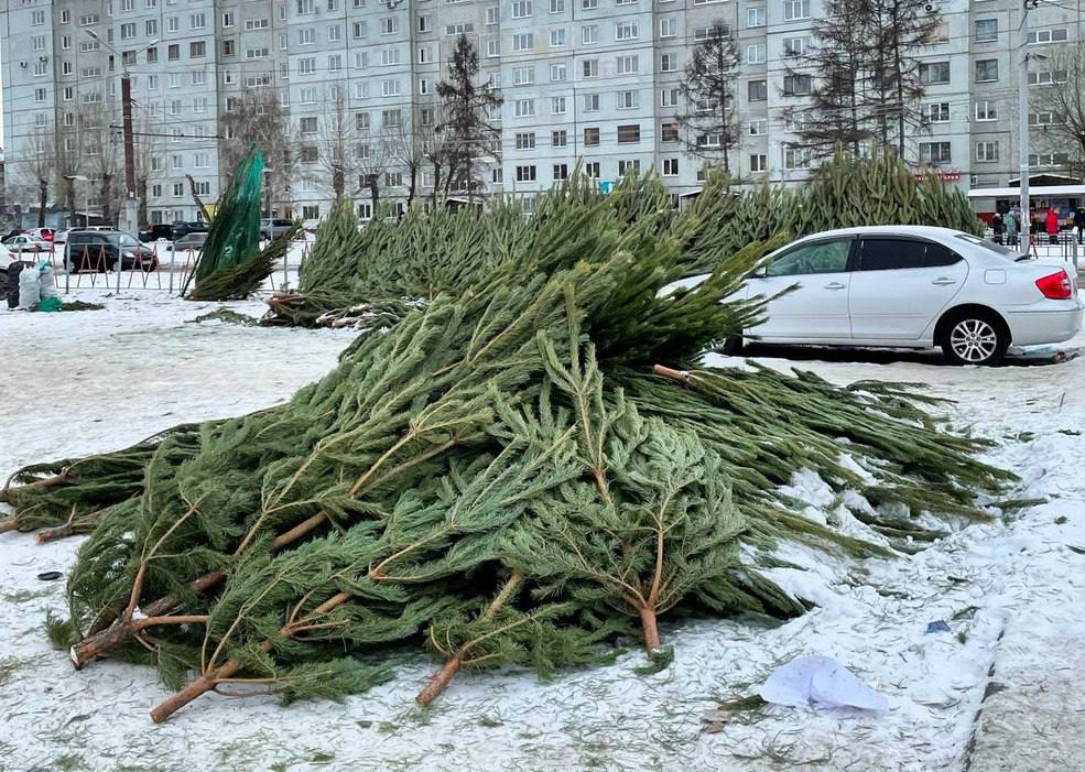 Уже пора в Омске утвердили адреса елочных базаров в разных округах Это точки определенные по результатам торгов Вдобавок к ним по традиции откроют и новогодние ярмарки в других наиболее проходимых местах у торговых центров магазинов рынков Здесь можно посмотреть уже утвержденные места торговли елками в Октябрьском Советском Ленинском Кировском и Центральном округах Новости Омска Подписаться