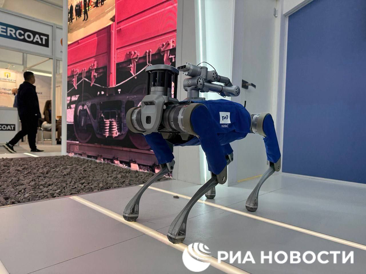 РЖД дрессируют собак роботов на станциях Юга и Урала сообщили РИА Новости в компании Три таких машины проходят испытания в Ростовской области и Челябинске Специалисты изучают возможности робопсов для диагностики подвижного состава и инфраструктуры РЖД контроля охраны труда транспортной безопасности закрепления подвижного состава и пр Подписаться на РИА Новости экономика Все наши каналы