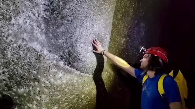 В Серной пещере на границе Албании и Греции обнаружена крупнейшая в мире паутина