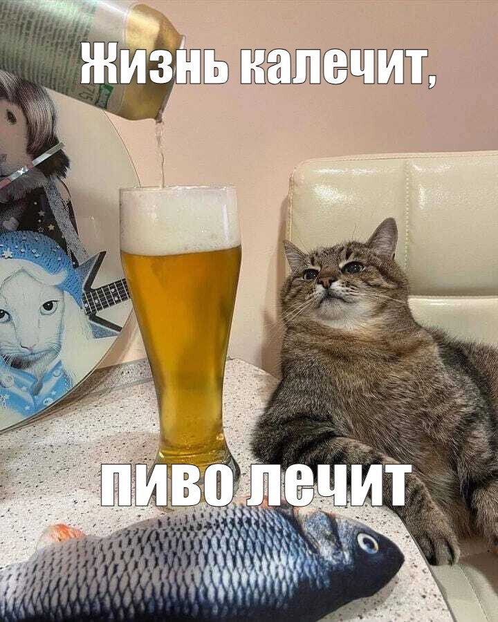 День любителей ПИВА отмечается сегодня по счастливой случайности он выпал на воскресенье С планами на вечер всё стало ясно