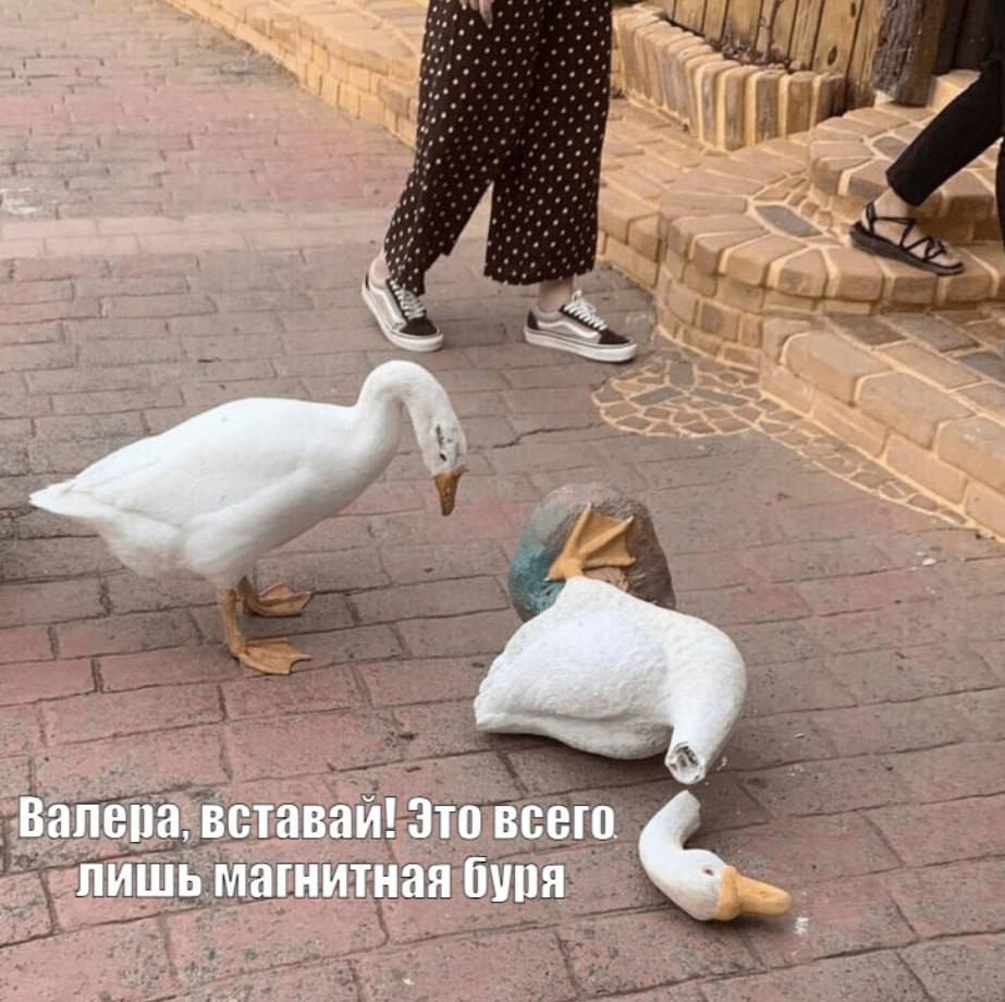 Магнитная буря накрыла Землю На Земле зафиксирована магнитная буря средней силы G2.3 , влияющая на энергетические системы и радиосвязь. Ученые отмечают рост плотности плазмы в солнечном ветре, а также ожидают влияние от корональной дыры в ближайшие сутки. А вы чувствуете влияние магнитной бури? Подписаться на «Наш Челябинск»