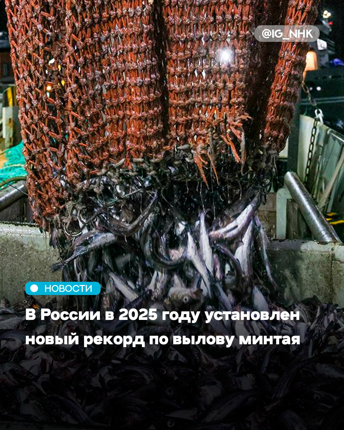 Российские рыбаки в 2025 году обновили рекорд по добыче минтая объем вылова превысил 2 1 млн тонн сообщило Росрыболовство Это лучший результат за последние более чем 25 лет отмечается в публикации ведомства По итогам 2024 года было добыто 1 99 млн тонн минтая Этот показатель оказался на 2 выше уровня 2023 года Россия занимает лидирующие позиции в мире по вылову минтая на который приходится более 40 общего объема национальной добычи Источник kommersant ru