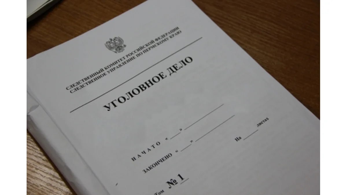 Апелляция «засилила» приговор руководителю пермской общественной организации  Пермский краевой суд оставил в силе приговор в отношении начальника АНО «Организация общественной безопасности» Дмитрия Печенкина, сообщает «РБК-Пермь». Как установили следствие и суд первой инстанции, он совершил преступление, предусмотренное ч. 7 ст. 204 УК РФ  получение лицом, выполняющим управленческие функции в иной организации, денег в крупном размере . Господин Печенкин был приговорен к  5,5 годам колонии общего режима со штрафом 1 млн руб. В частности, он получил от администратора сети нелегальных игровых клубов Валерия Благиных 300 тыс. руб. Еще 370 тыс. руб. Дмитрий Печенкин требовал с АО «СпортБет» в лице его представителя Руслана Зотеева Последний действовал в рамках мероприятия «оперативный эксперимент», после чего Дмитрий Печенкин был задержан. Сам осужденный вину не признал и настаивал на оправдании.