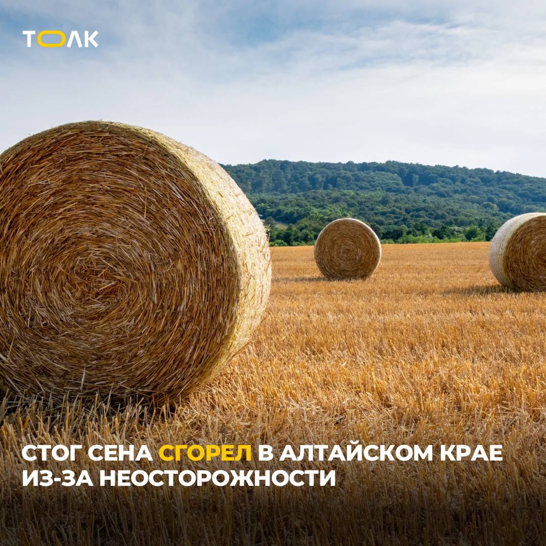 500 центнеров сена сгорело сегодня утром в Волчихинском районе Возгорание произошло недалеко от поселка Правда на открытой площадке. Пожар ликвидирован на площади около 120 кв. метров. На месте работали 5 пожарных, 2 автоцистерны. Огнеборцы предотвратили распространение огня на близлежащие луга. Для подвоза воды использовалась водонапорная башня. Наиболее вероятная причина происшествия — неосторожное обращение с огнем. ТОЛК